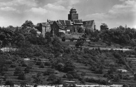 Burg Breuberg mit Weinbergen 