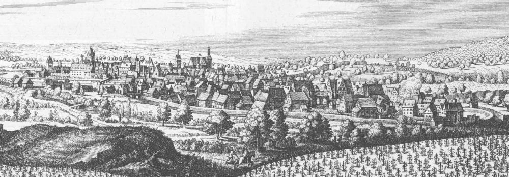 Wiesbaden 1650 Blick vom Neroberg mit Weinbergen